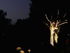-太阳宫公园