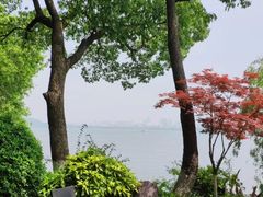 -浙江西子宾馆·牡丹厅