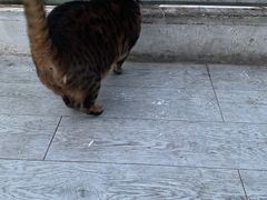 -小时光咖啡馆(北锣鼓巷店)