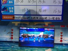 -多彩贵州城极地海洋世界