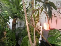 -甲乙果 美术书法(通州校区)