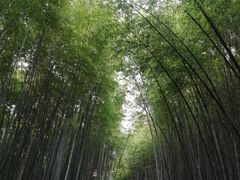 -苏州环秀晓筑养生度假村
