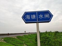 -南汇嘴观海公园