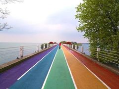 -贡湖湾湿地公园