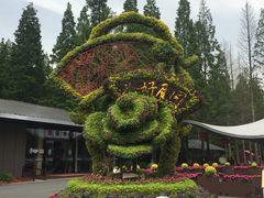 -东平国家森林公园