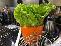 -古乐牛香·鲜牛肉牛杂火锅(五一中路店)