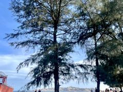 -坛南湾阿强农家乐.海鲜大排档老字号(福州地标美食店)