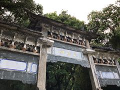 -蝴蝶泉公园