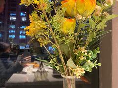 -百好乐宠物友好餐厅(朝外大街店)