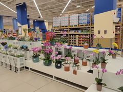 -盒马X会员店(王府井奥莱UP TOWN店)