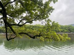 -蒋氏故居