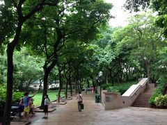 -九龙公园