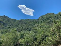 -阳台山自然风景区