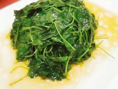 -梅龙镇酒家(南京西路总店)