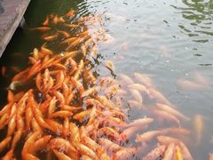 -枫香湖儿童公园