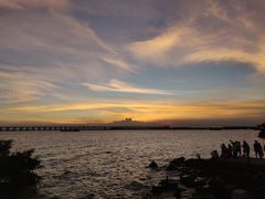 -宝安西湾红树林湿地公园