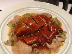 -新兴·金羊座·粤菜点心(乐峰店)