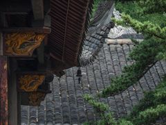 -成都市活水公园