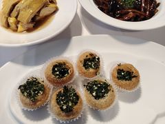-席家花园(巨鹿花园店)