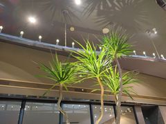 -西堤牛排(南京龙江店)