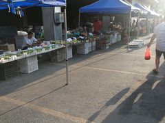 -十五大街农贸市场