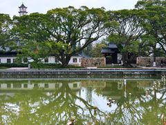-江心屿景区