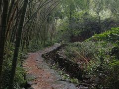 -会稽山峡洞漂流-上青古道