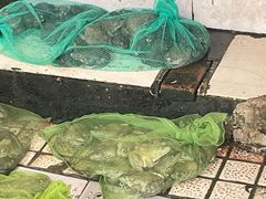 -西双版纳集贸市场