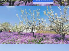 -江苏三台山国家森林公园