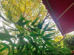 -Santoor 萨都里印度餐厅(北锣鼓巷店)