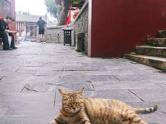 -长春观