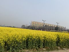 -中国天府农业博览园