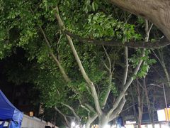 -健康路夜市