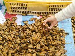 -细村农贸综合市场(沿江路店)