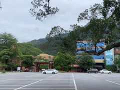 -牛鱼嘴原始生态风景区