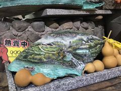-食德喜·阳山鸡王食研基地