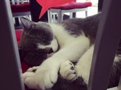 -MIKAKU(万达广场上海宝山店)