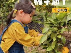 -前小桔亲子创意农场·草莓采摘·露营烧烤