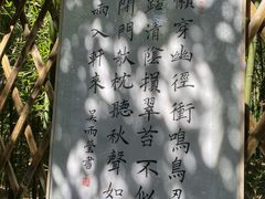-同里国家湿地公园
