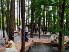 -东湖落雁景区