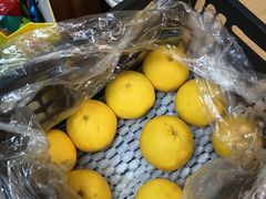 -西郊国际农产品交易中心