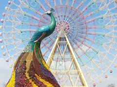 -七彩云南欢乐世界