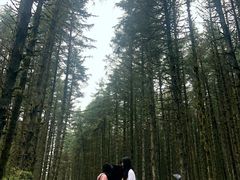 -石棉县孟获城