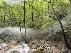 -牛背梁国家森林公园