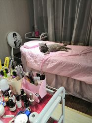 -璀璨&星光美甲美睫店