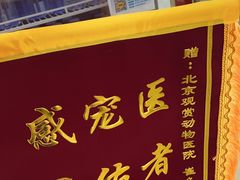 -北京观赏动物医院·24小时大型综合·猫专科·异宠专科