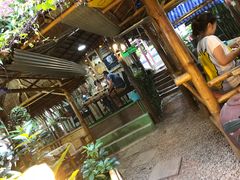 -Jungle Kitchen