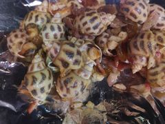 -旺富东海大酒楼(海鲜街店)