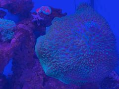 -石家庄海洋公园