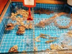 -码头见·潮汕菜(领展中心城店)